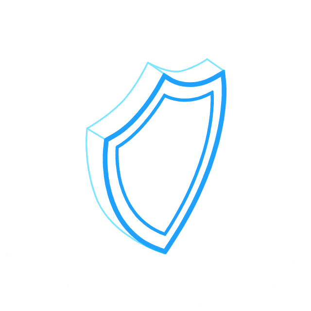 shield of protection with a lock in the middle